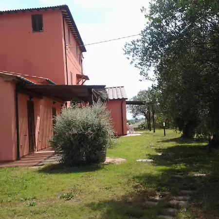 Brancatelli *