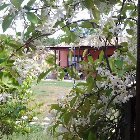 Brancatelli *